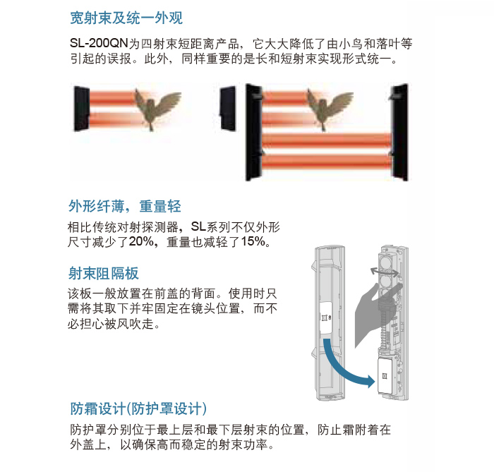 画板 3.jpg